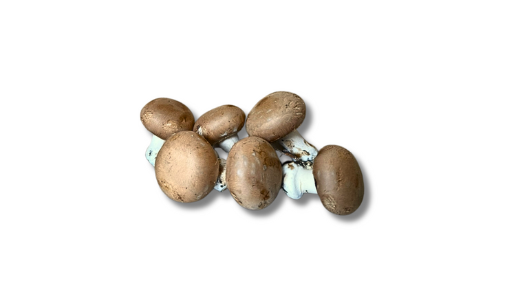 Champignons classiques