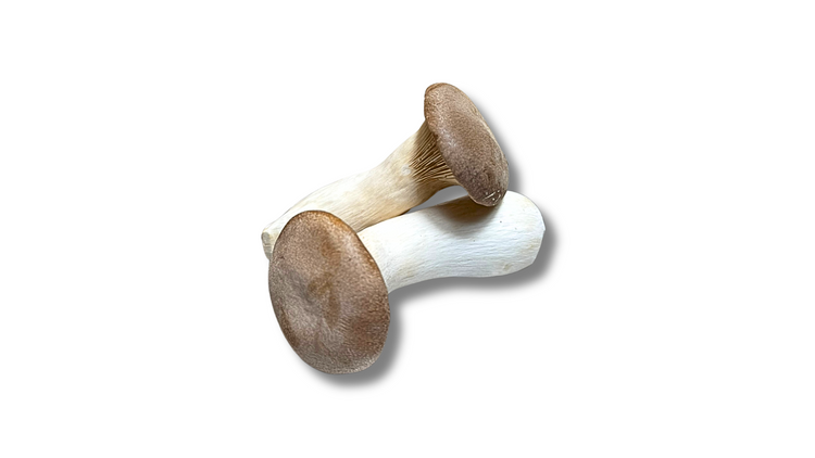 Champignons raffinés