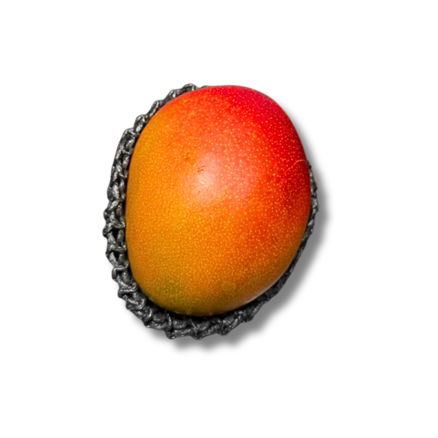 Mangue avion extra