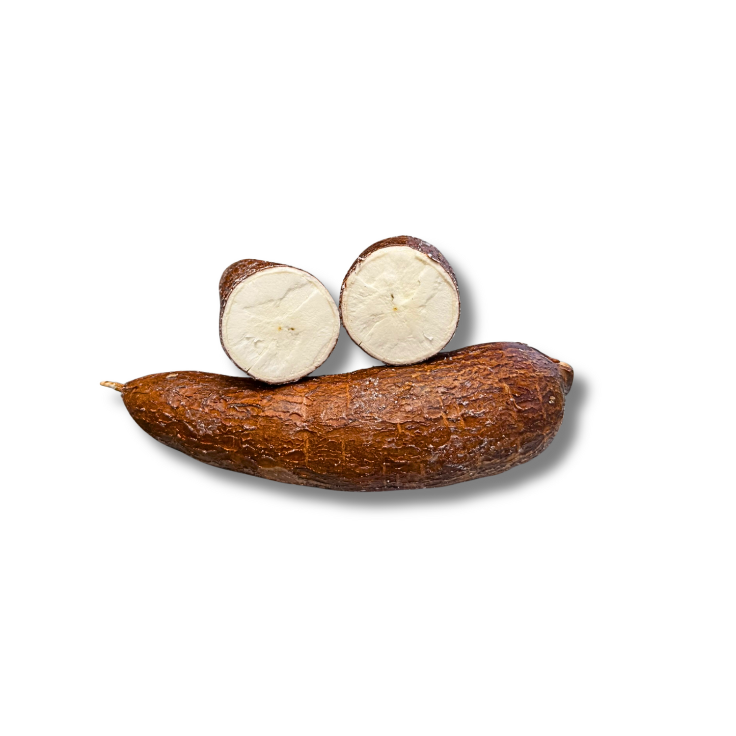 Manioc