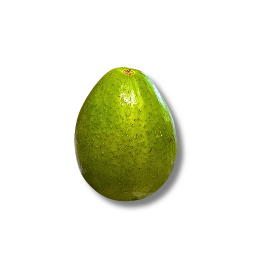 Avocat tropical XXL (pièce)