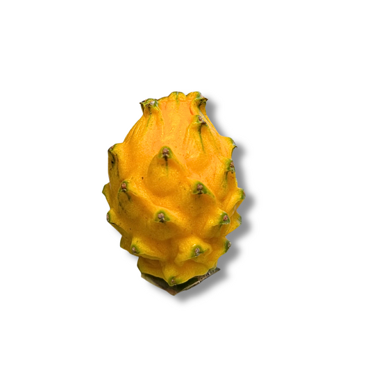 Pitaya jaune (pièce)