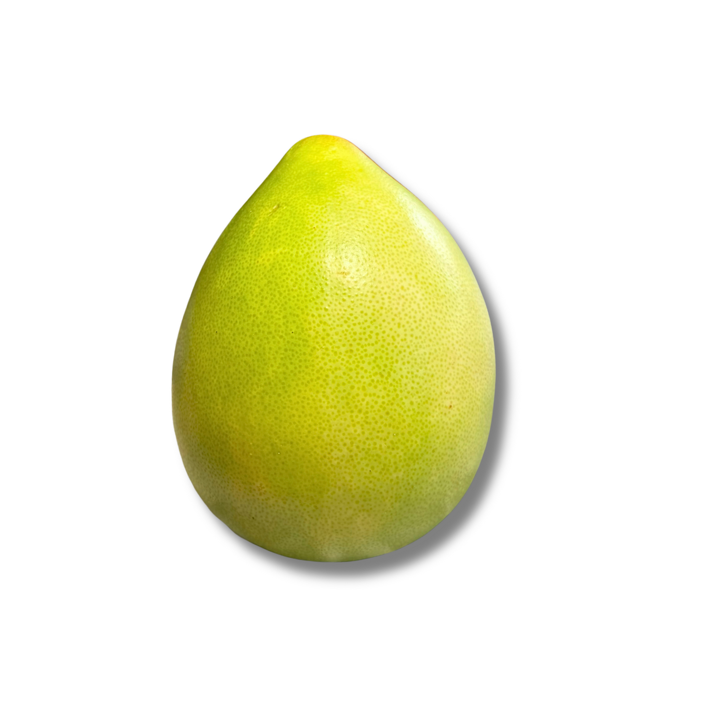 Pomelo chinois à chair jaune (pièce)