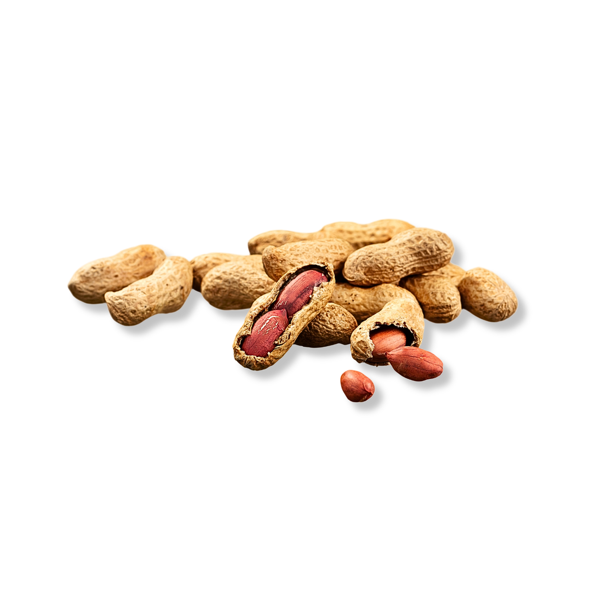 Arachide (500g)