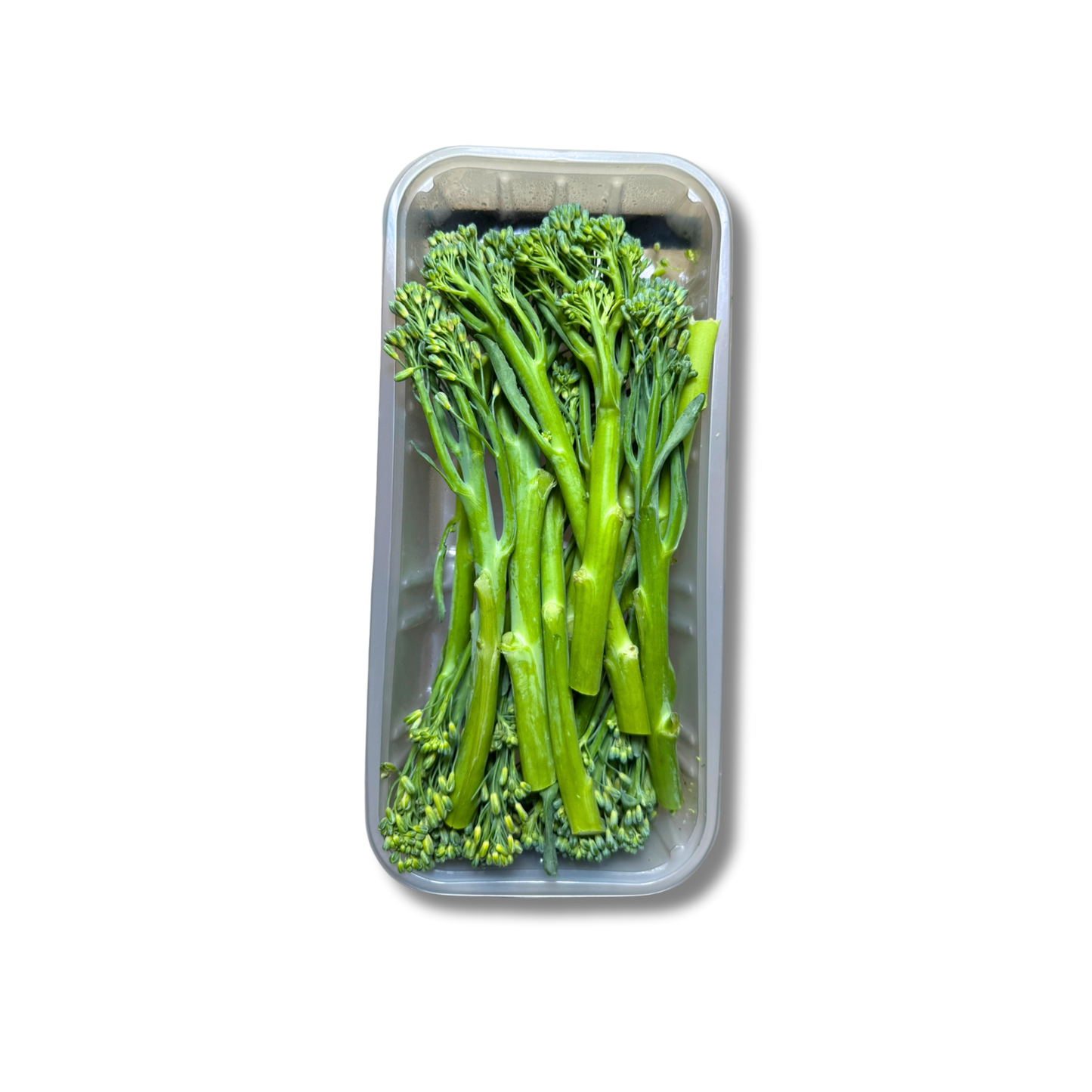 Brocolini (barquette)