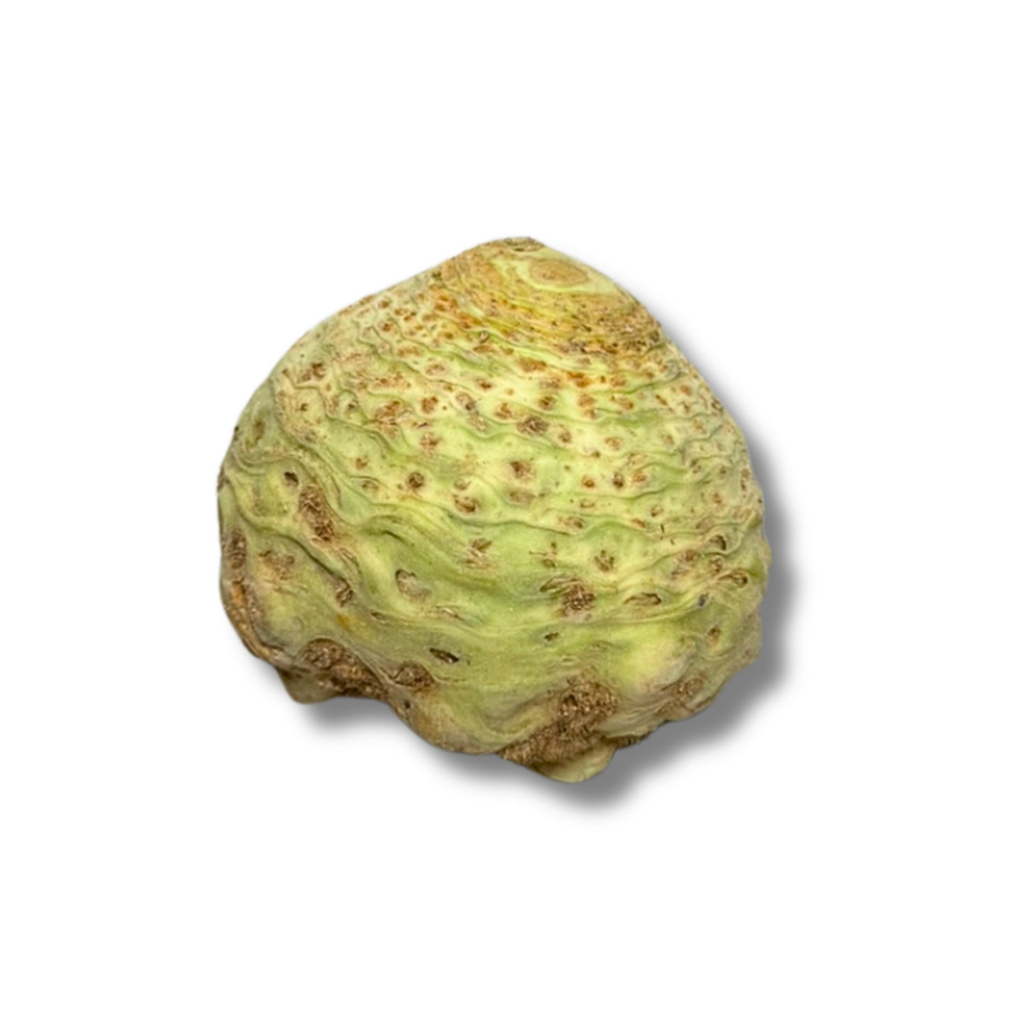 Céleri rave (pièce)