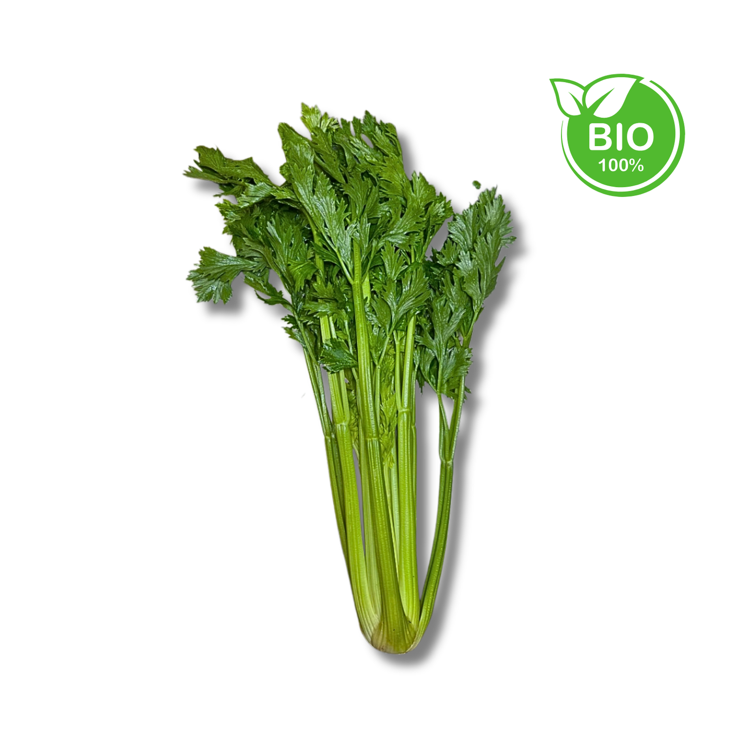 Céleri branche bio (pièce)