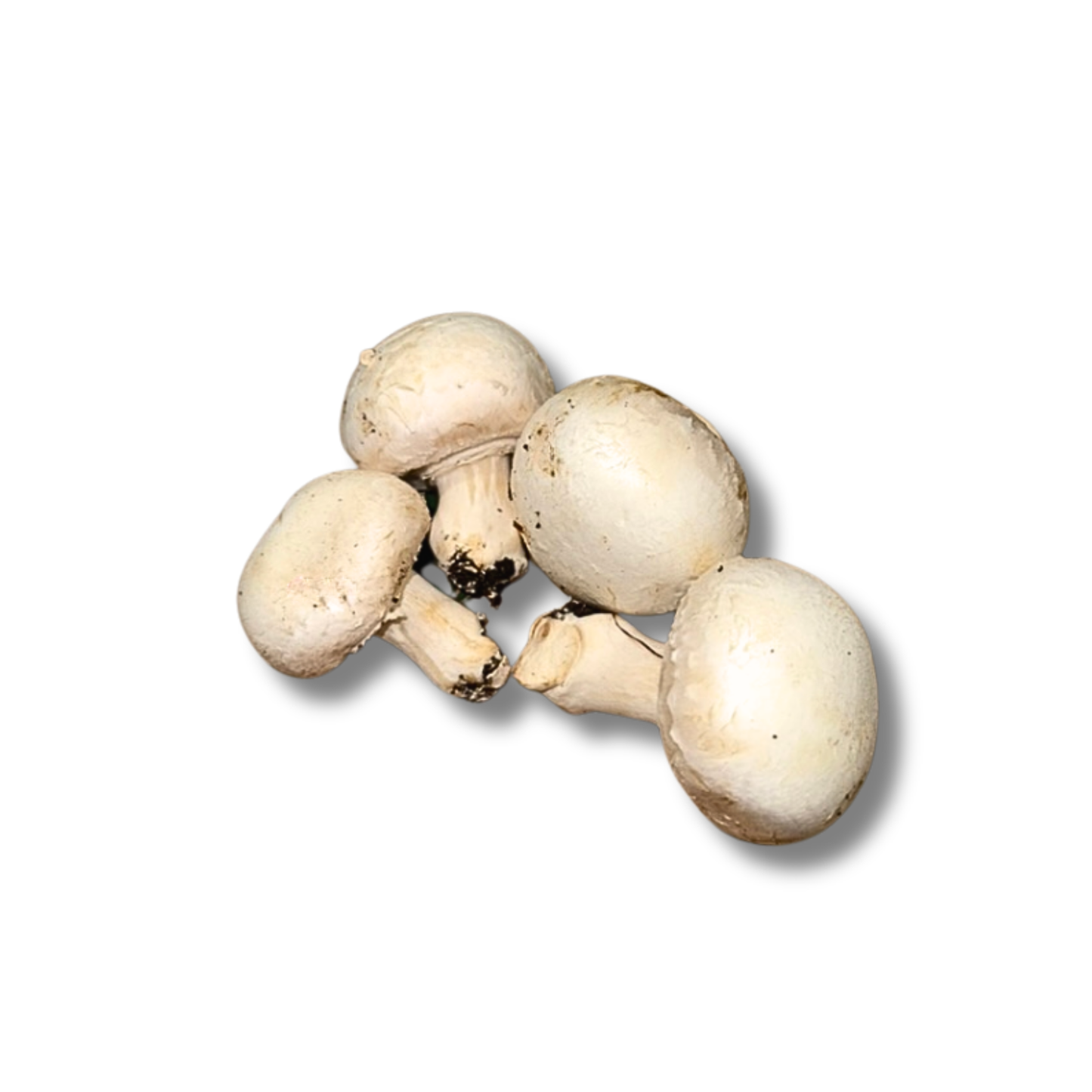 Champignon de Paris vrac (500g)