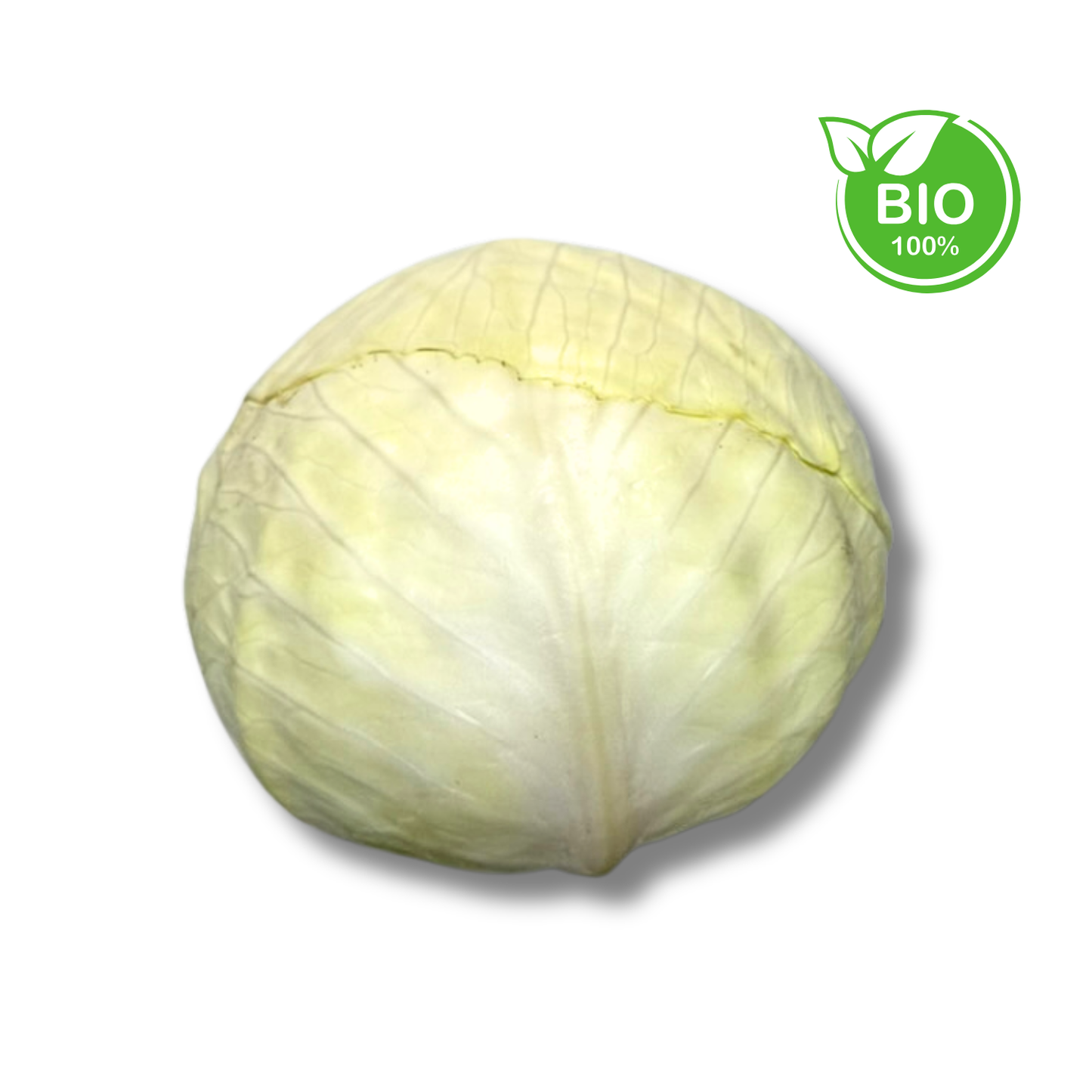 Chou blanc bio (pièce)