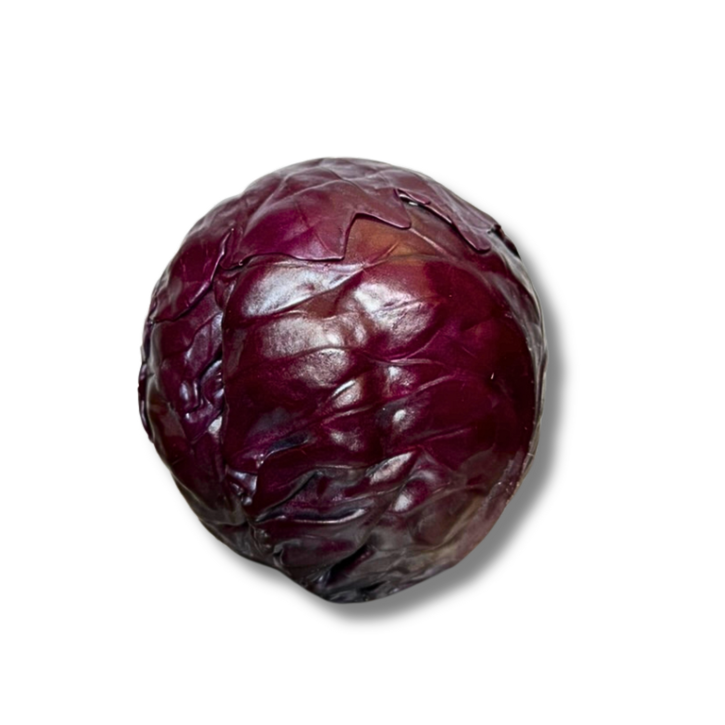 Chou rouge