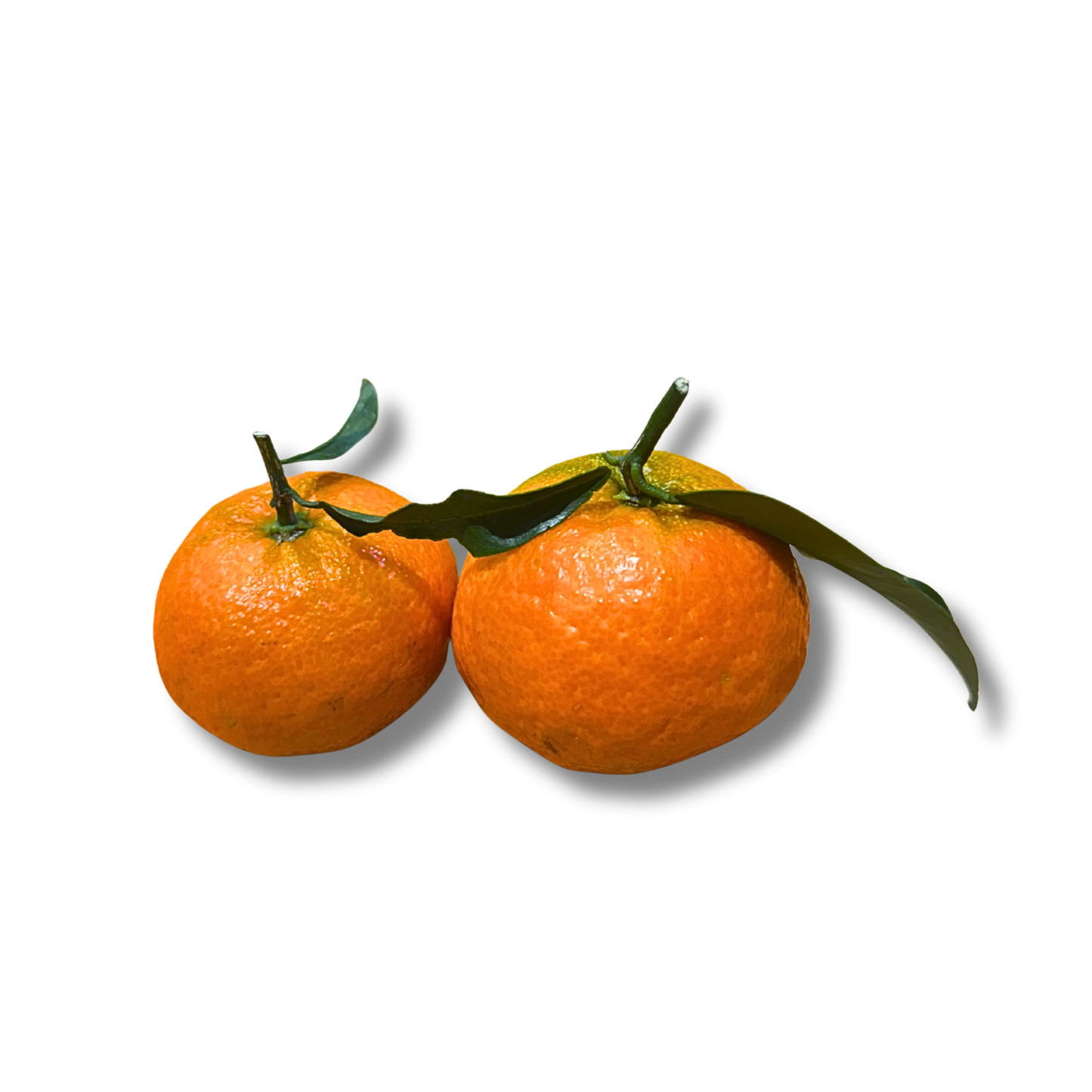 Clémentine feuille Corse (500g)