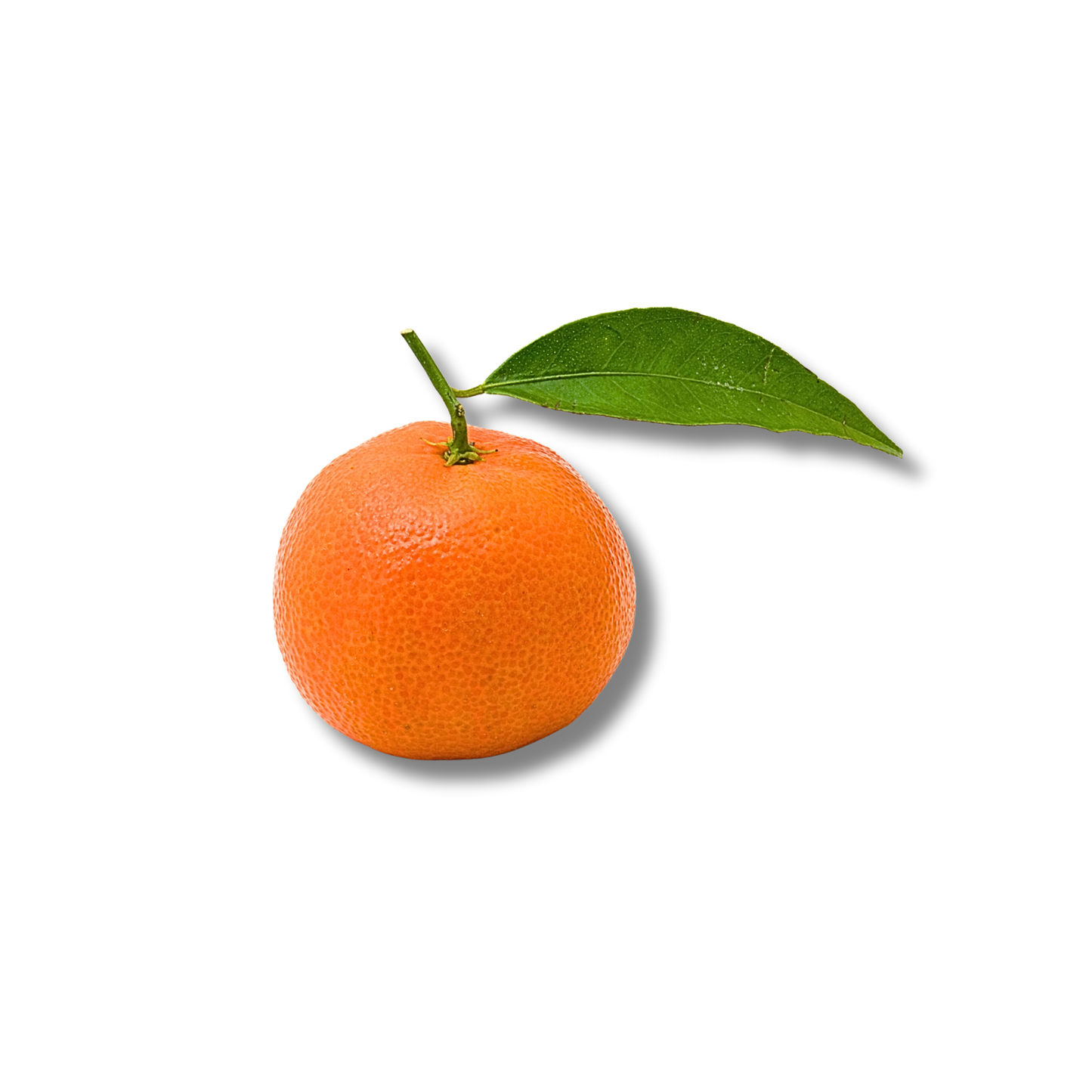 Clémentine feuille Espagne (kg)