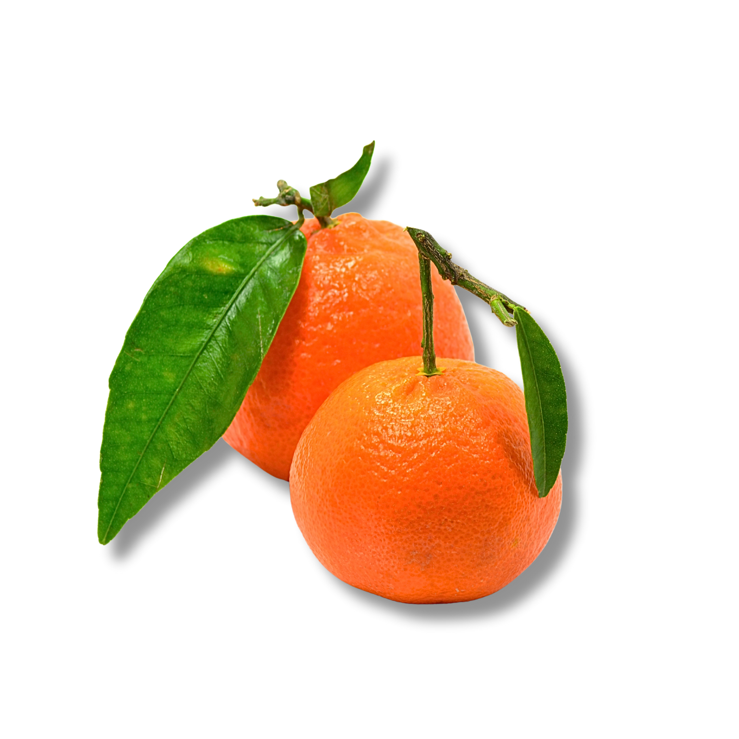 Clémentine feuille Italie (kg)