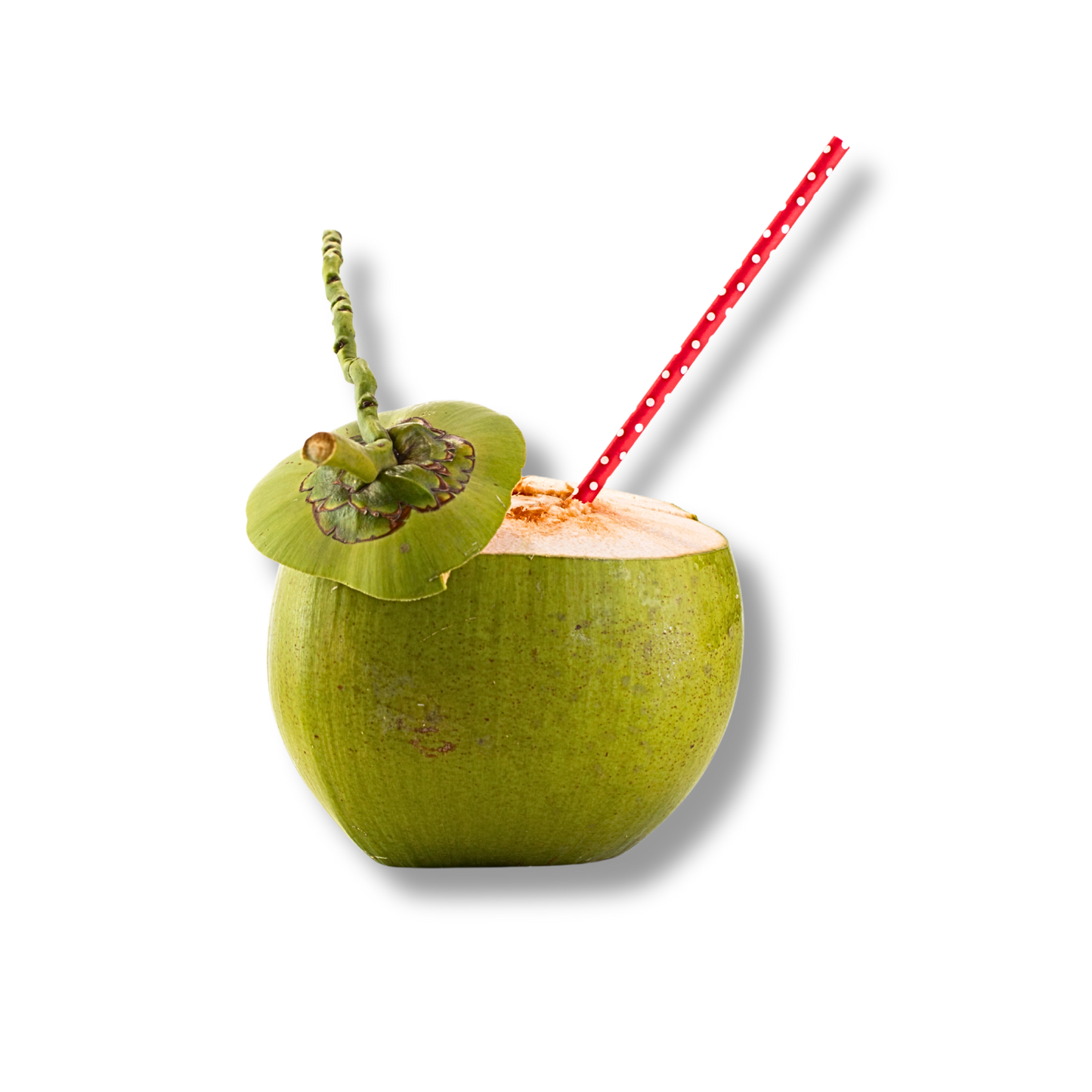 Noix de coco à boire (pièce)