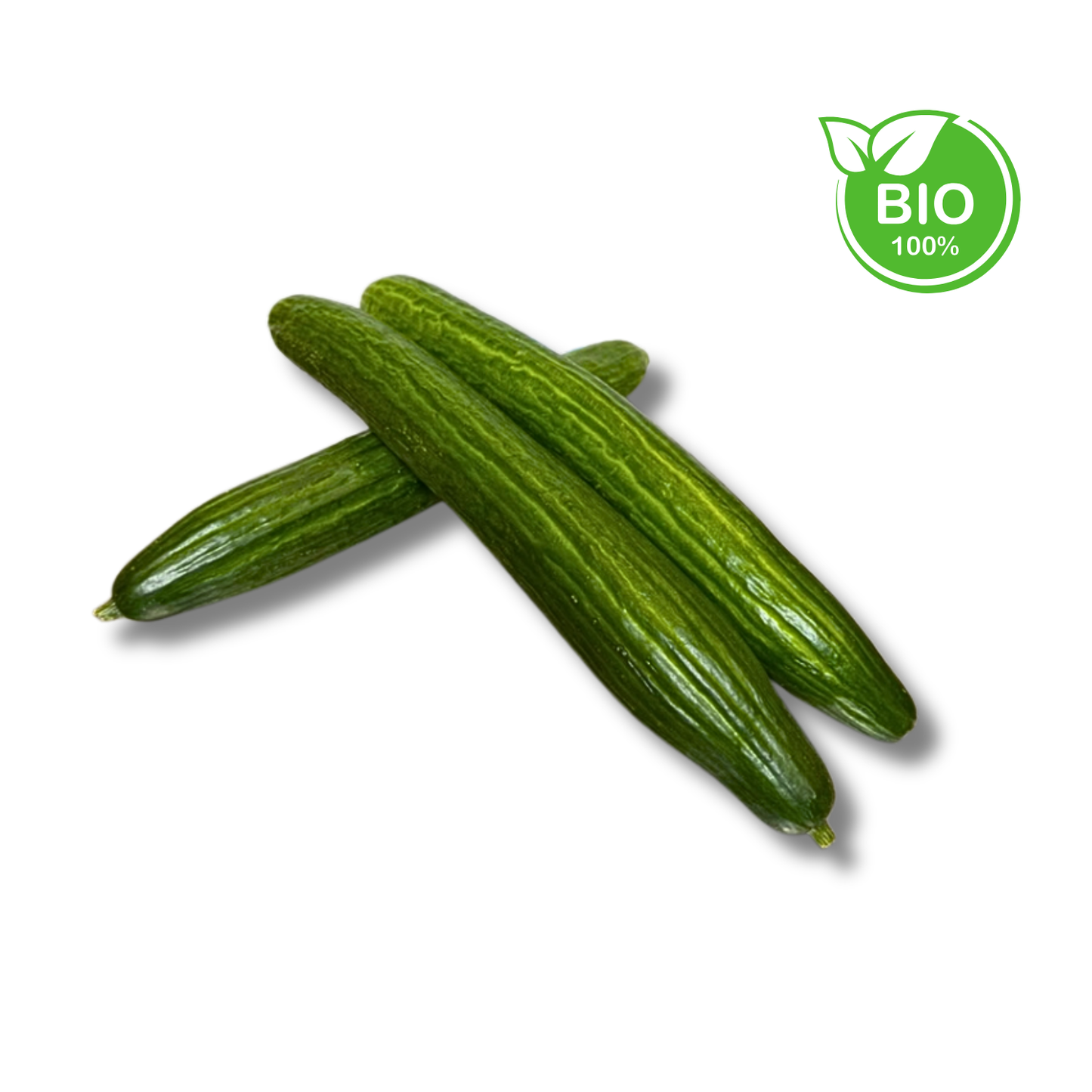 Concombre bio (pièce)