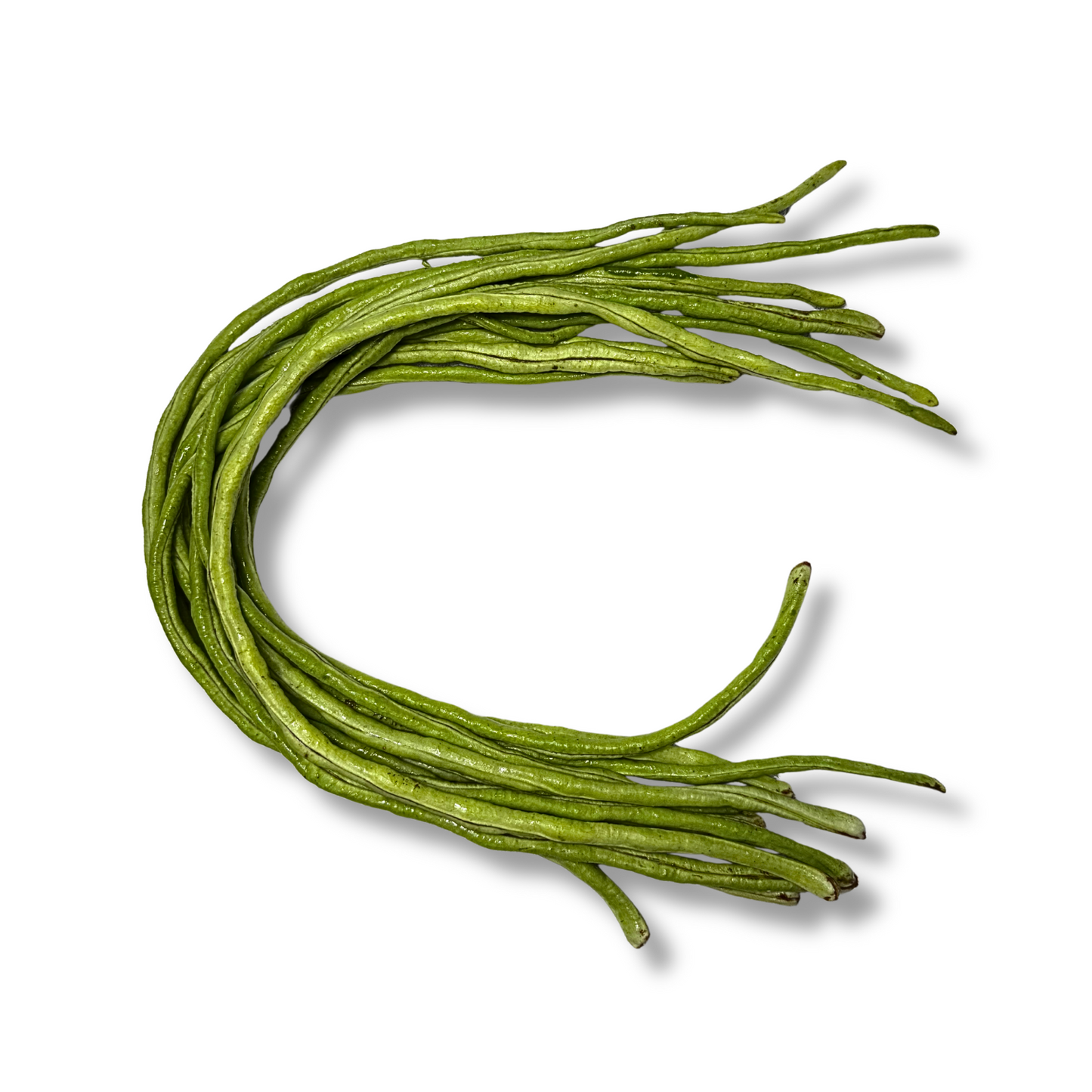 Haricot vert long (250g)
