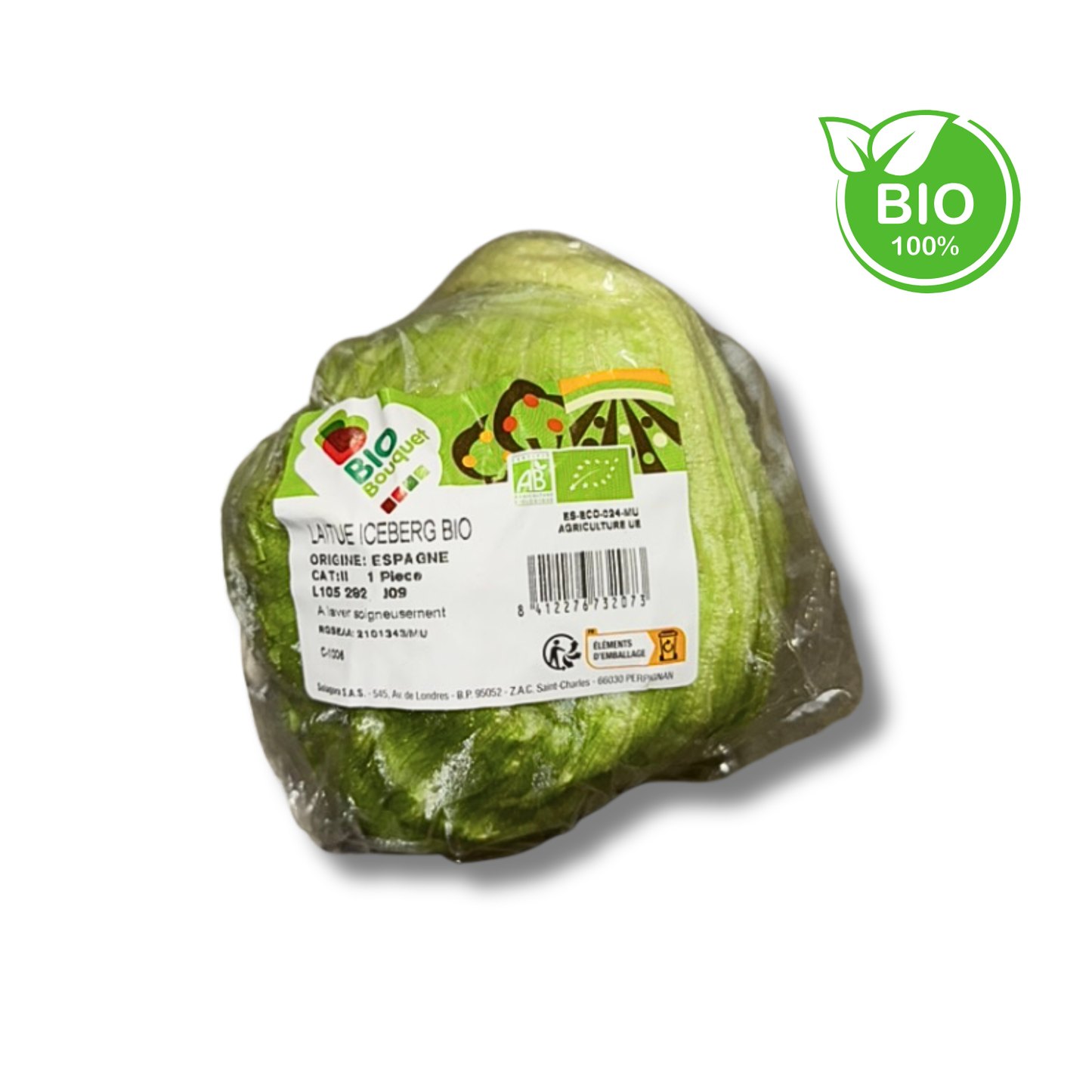 Salade Iceberg bio (pièce)