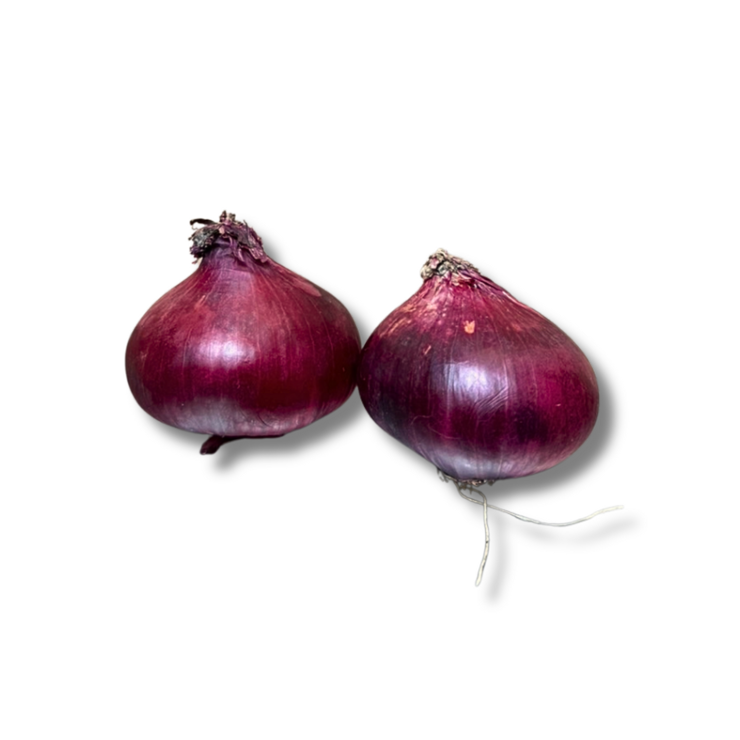 Oignon rouge sec (pièce)