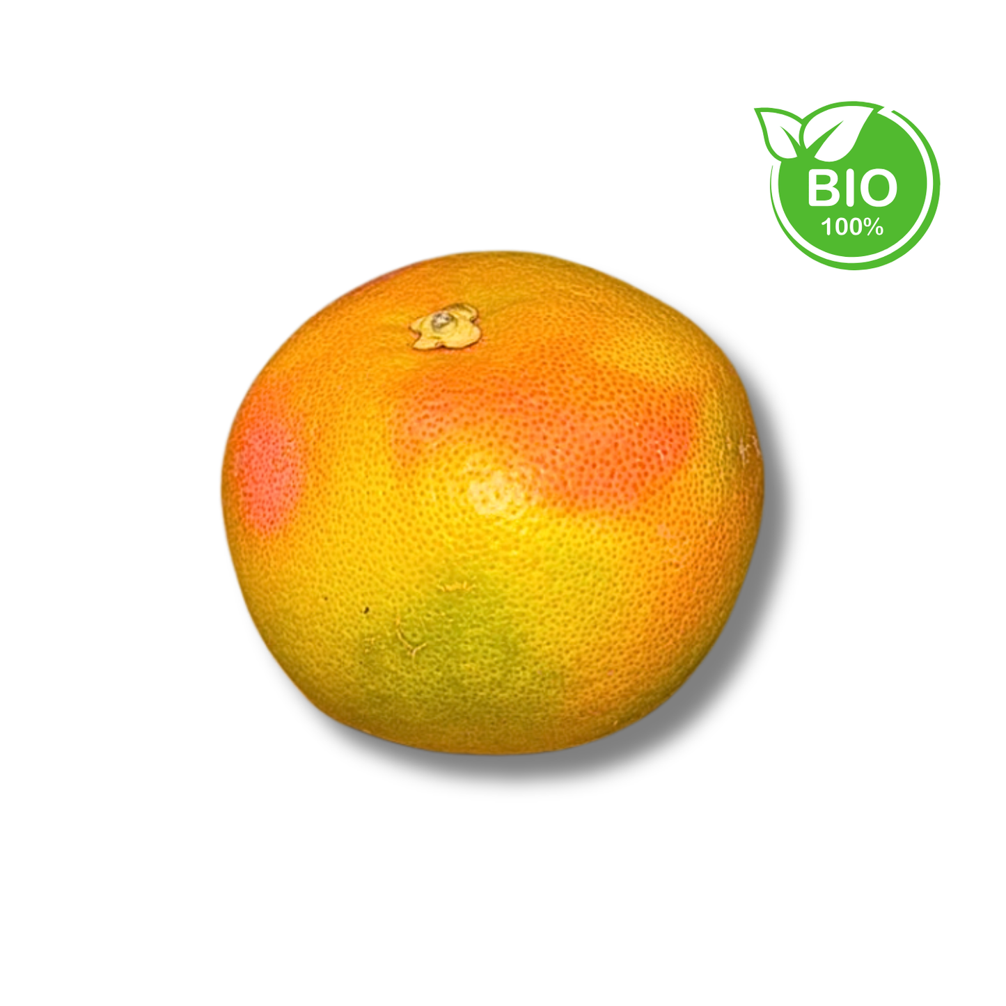 Pamplemousse rouge bio (pièce)