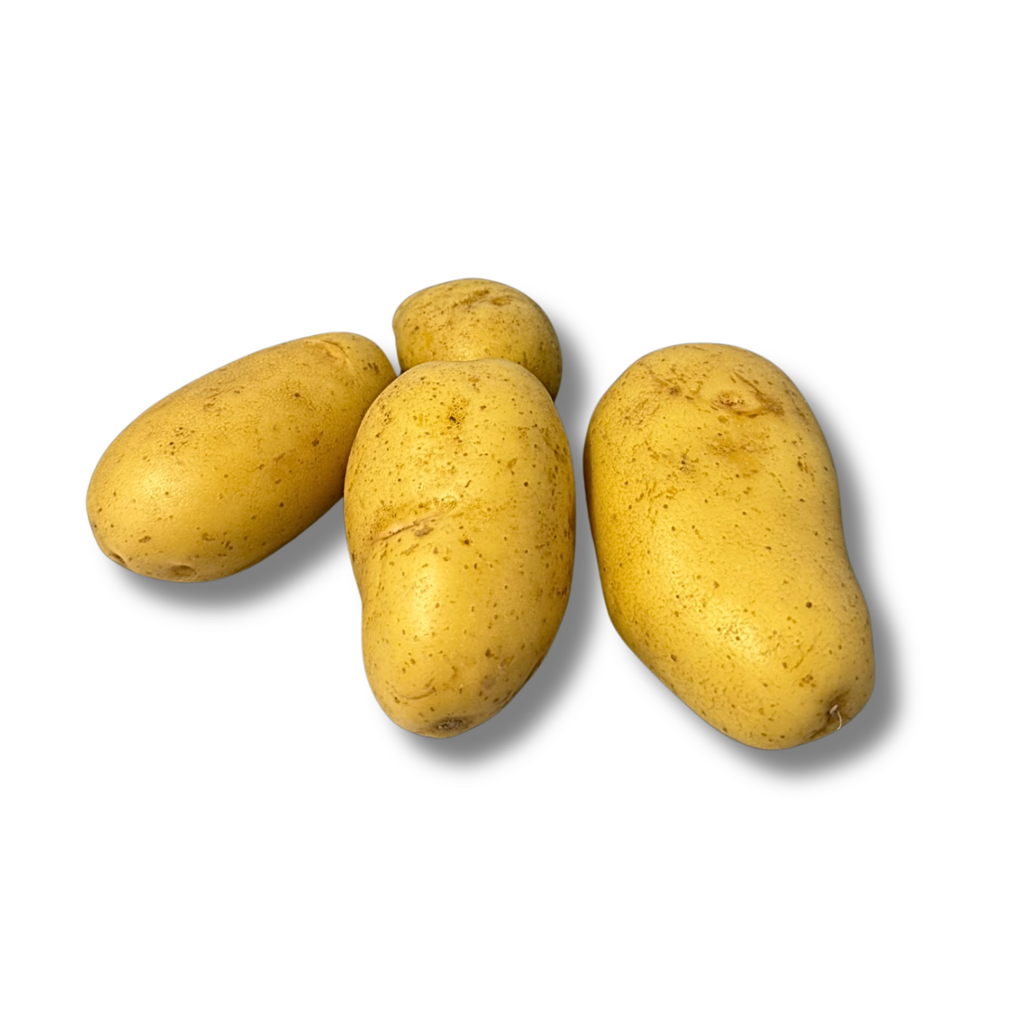 Pomme de terre Agata (kg)