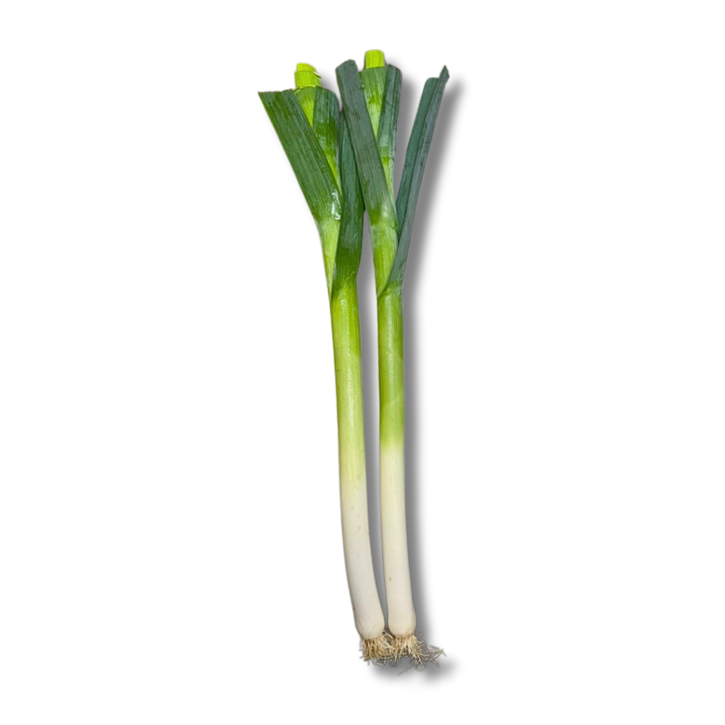 Poireau