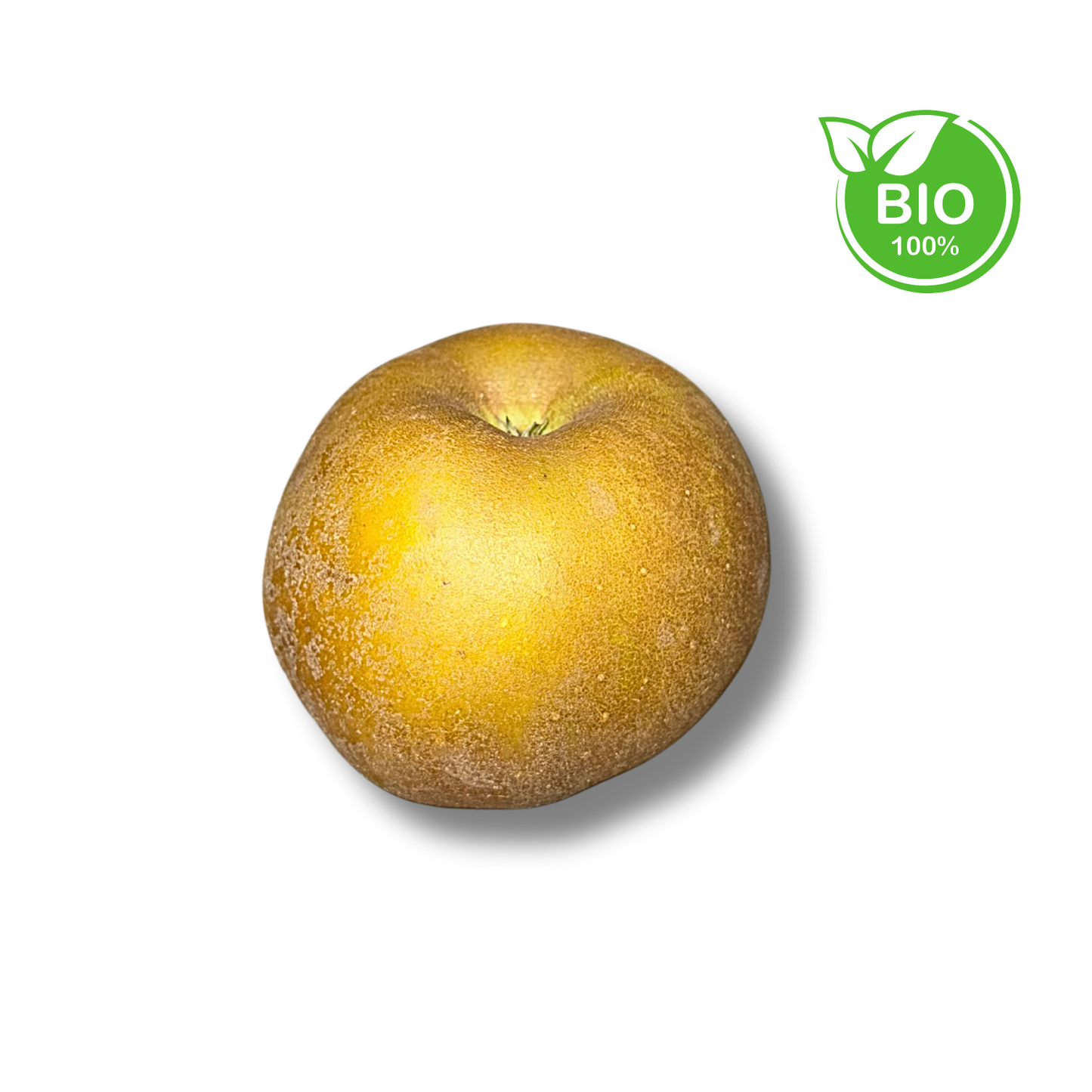 Pomme à cuire bio (500g)