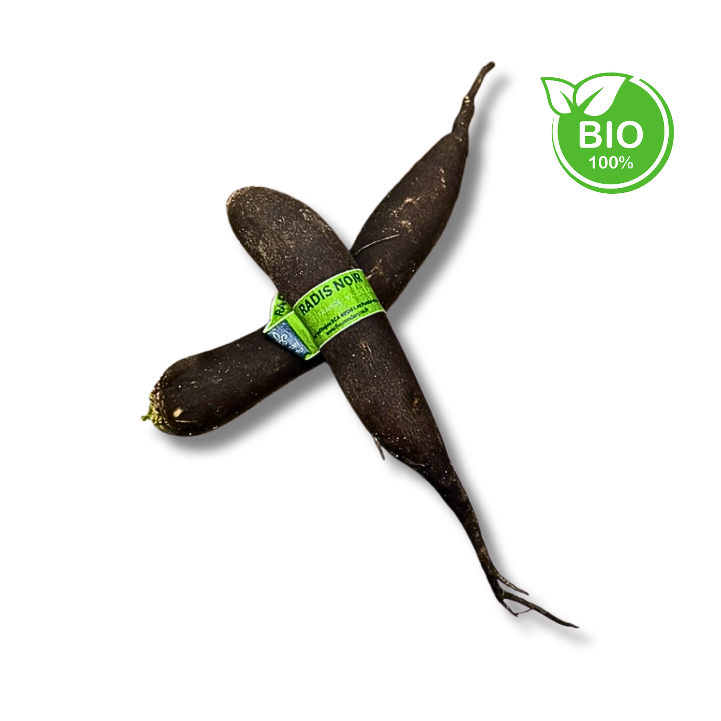 Radis noir bio (pièce)