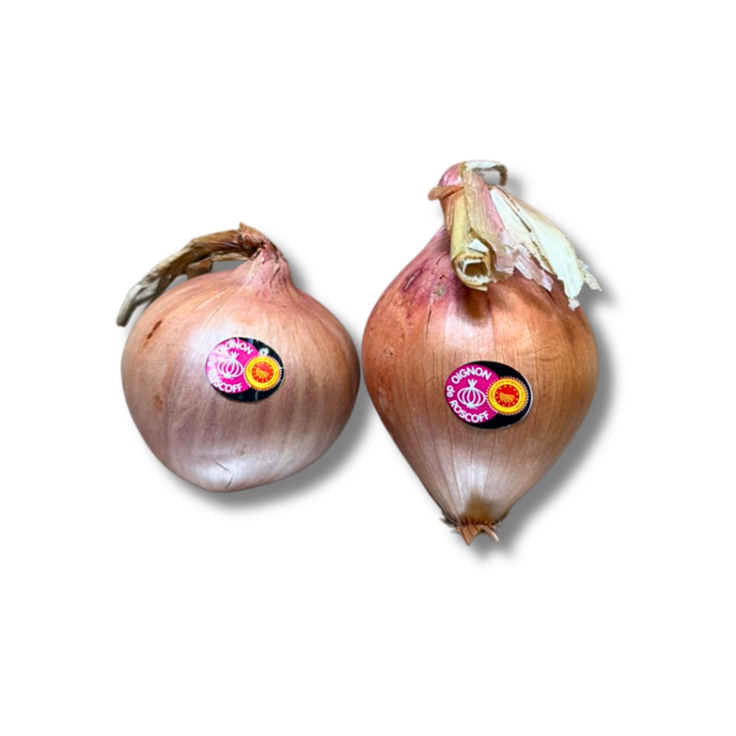 Oignon Roscoff (pièce)