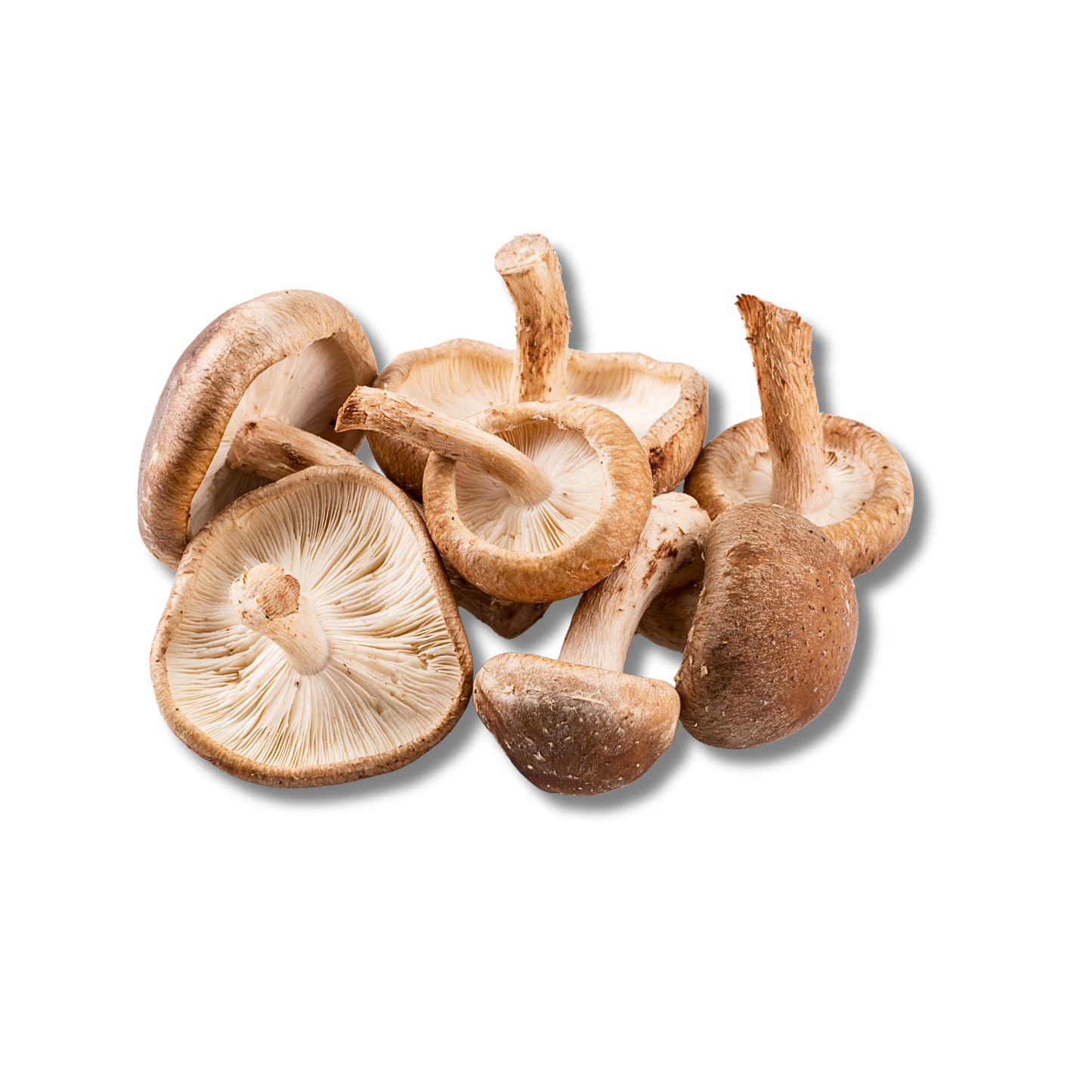 Shiitake (250 g)