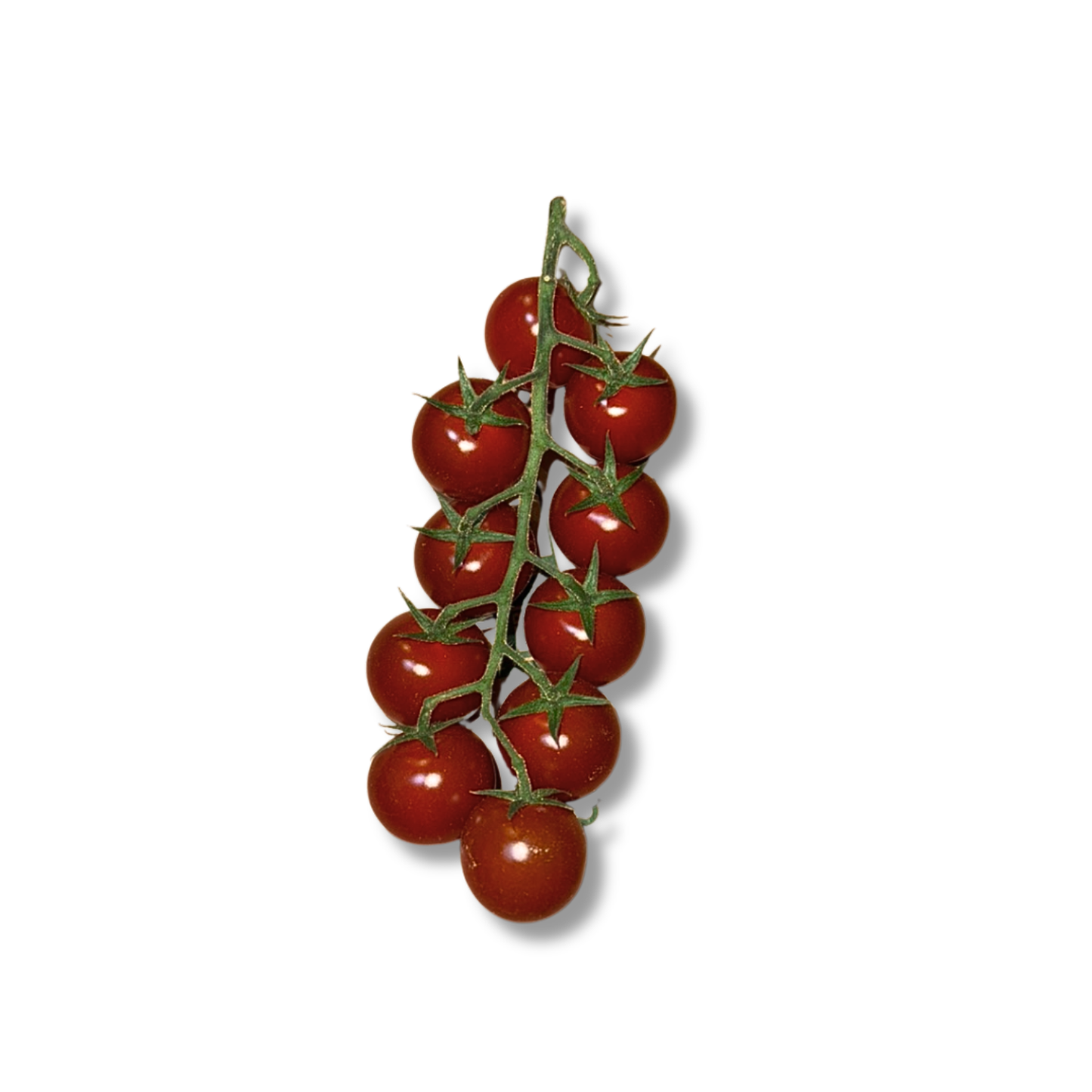 Tomate cerise noire (500g)