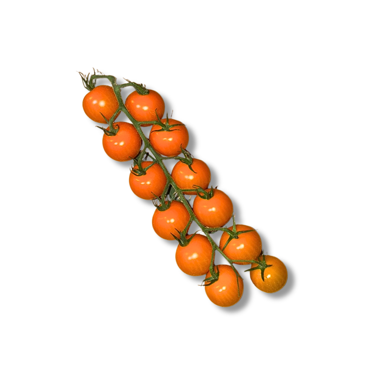 Tomate cerise orange (500g)