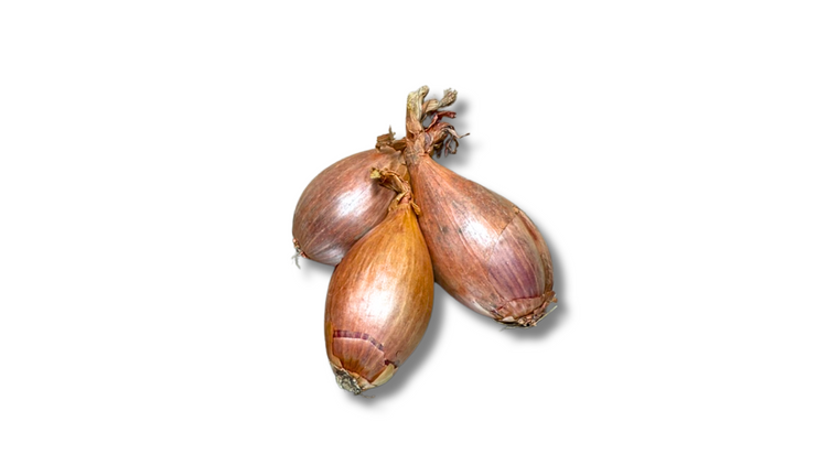 Échalote