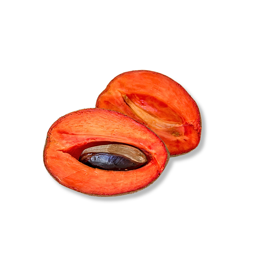 Sapote mamey (pièce)