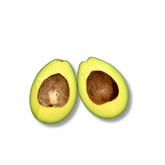 Avocat tropical