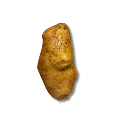 Pomme de terre Spunta