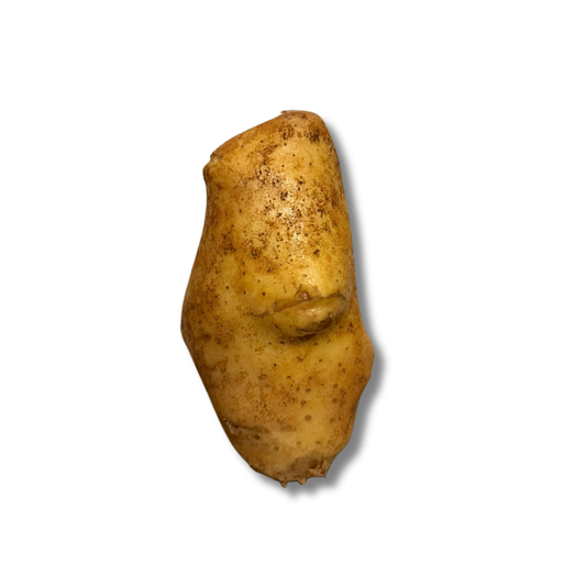 Pomme de terre Spunta