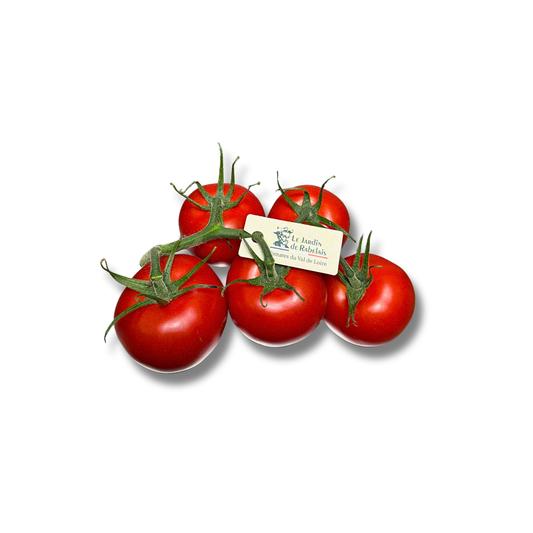 Tomates calibre 37 grappe Jardin de Rabelais (500g)