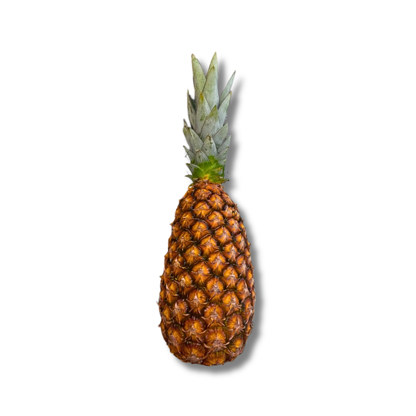 Ananas pain de sucre
