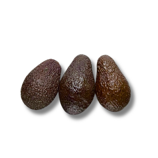 Avocat sélectionné