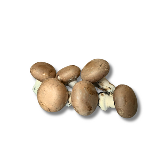 Champignon crème