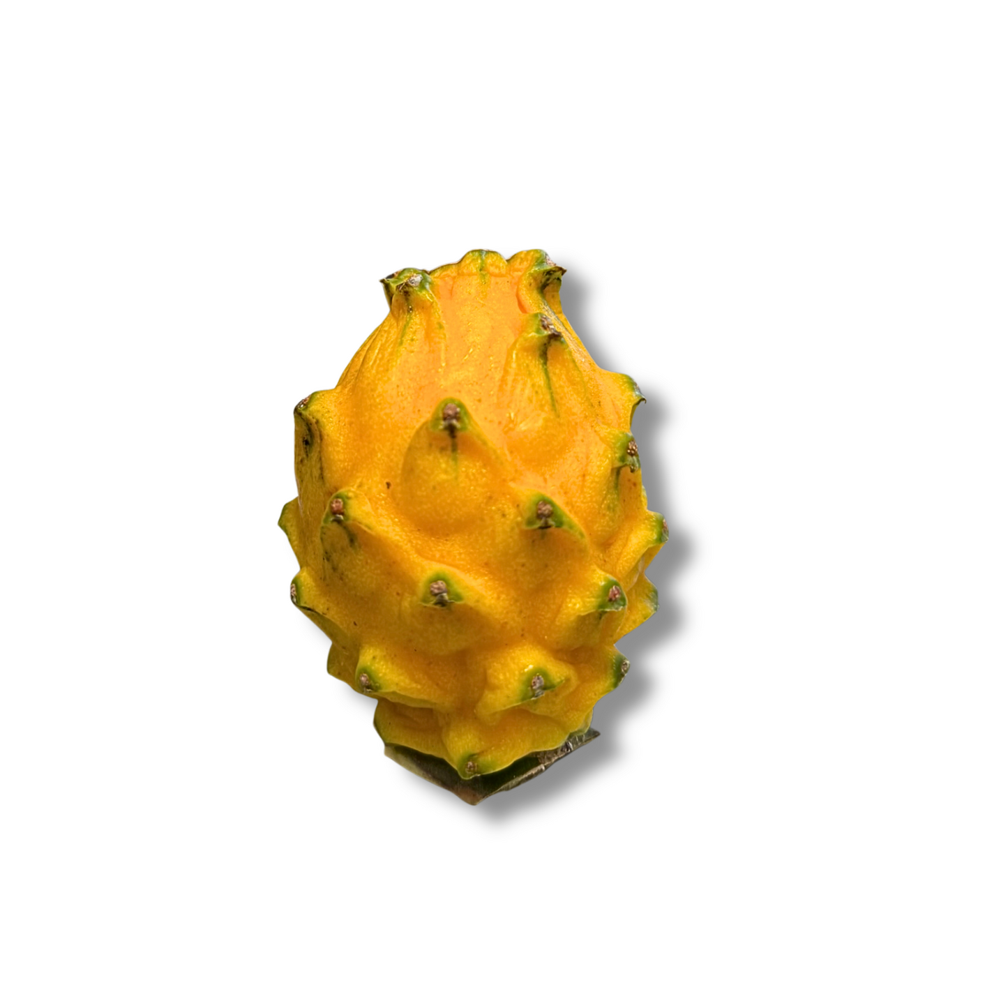 Pitaya jaune