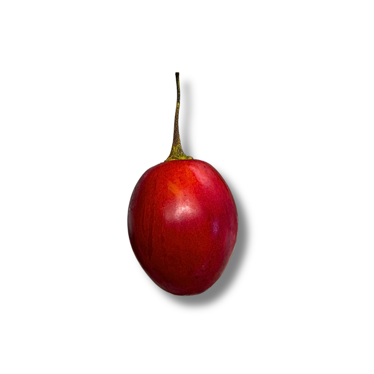 Tamarillo