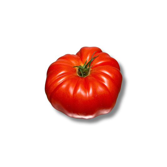 Tomate marmande
