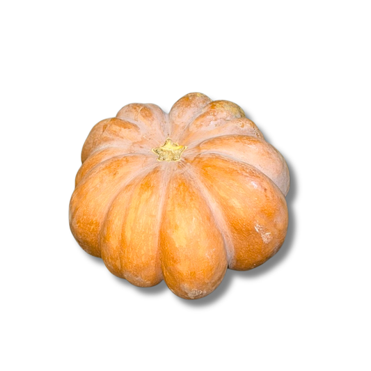 Courge Musquée de Provence (pièce)