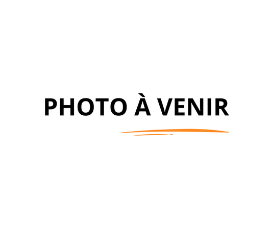 Pêche jaune extra