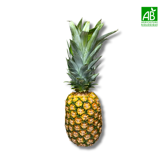 Ananas bio (pièce)