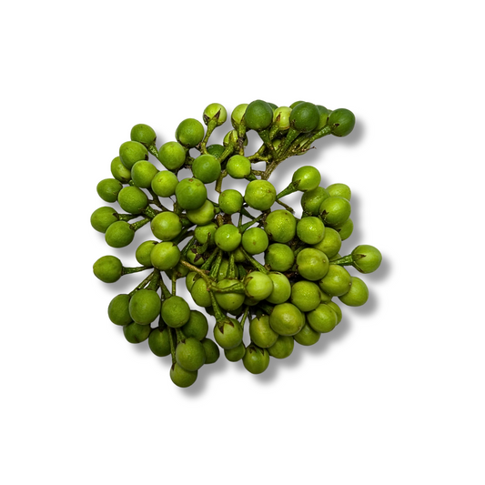 Aubergine Thaï mini (Makreua Puang)
