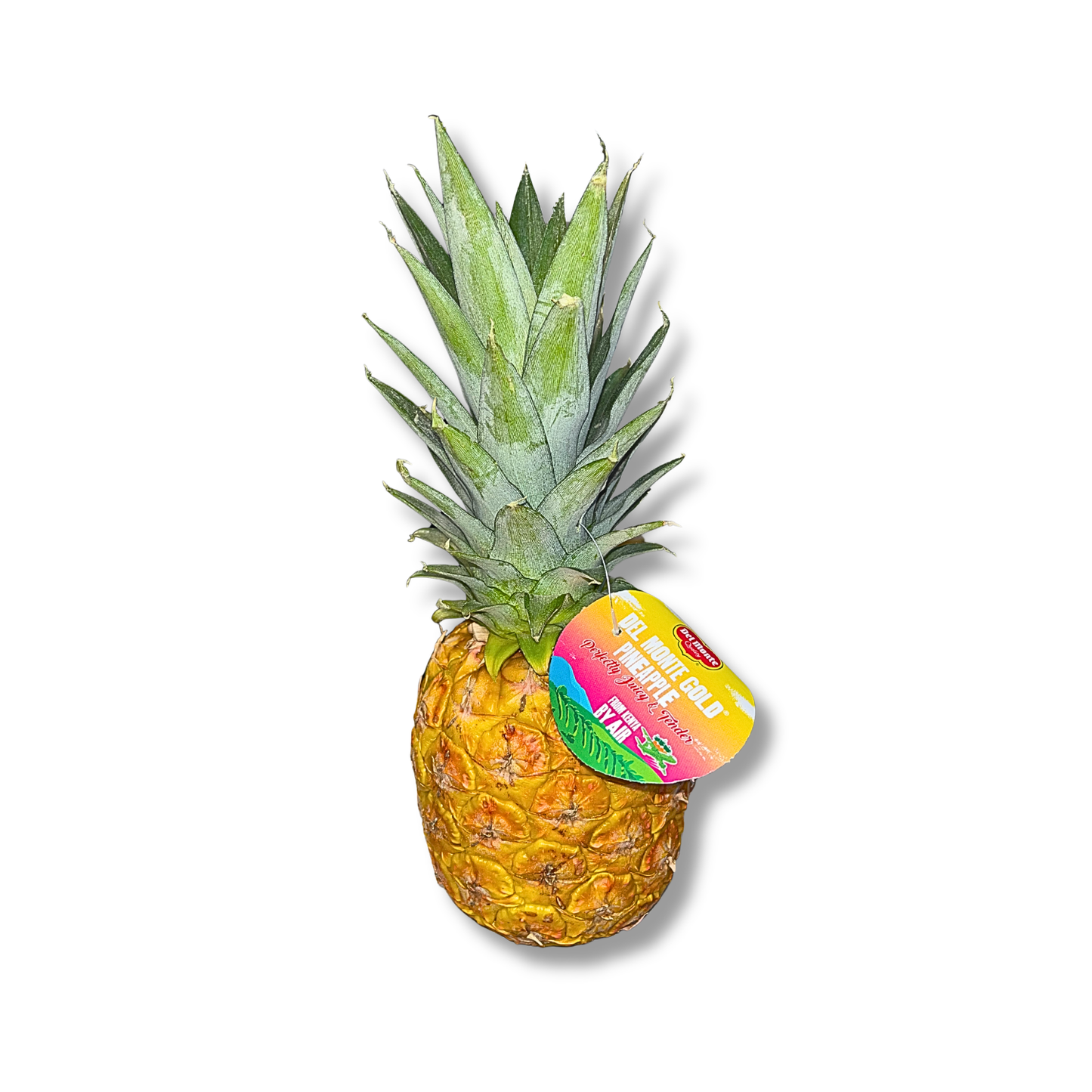 Baby ananas avion (pièce)