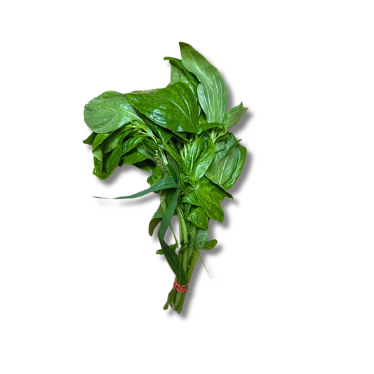 Basilic