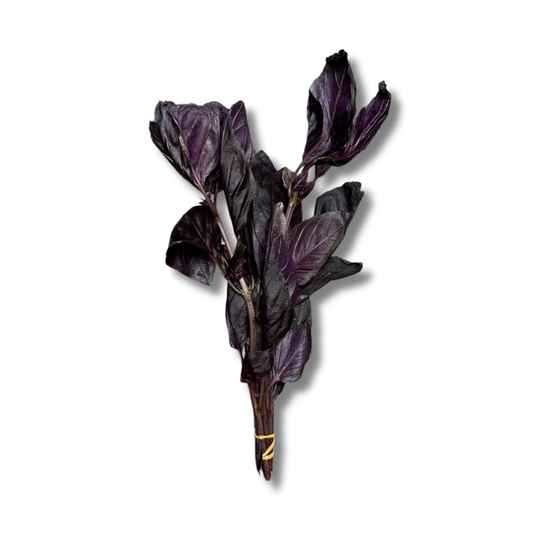Basilic rouge